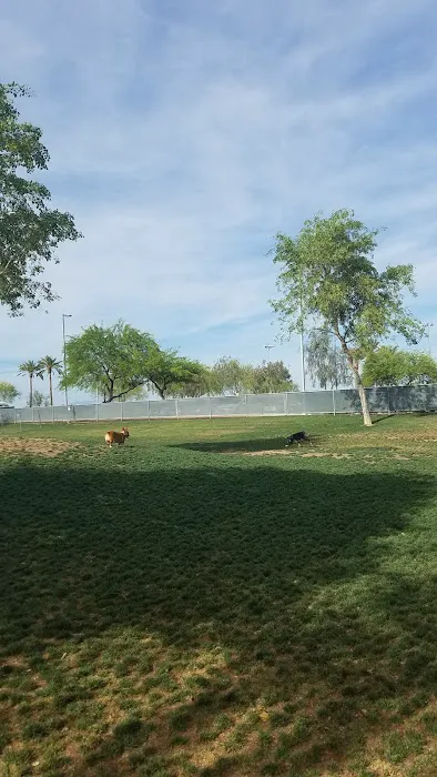 Small Dog Park 7