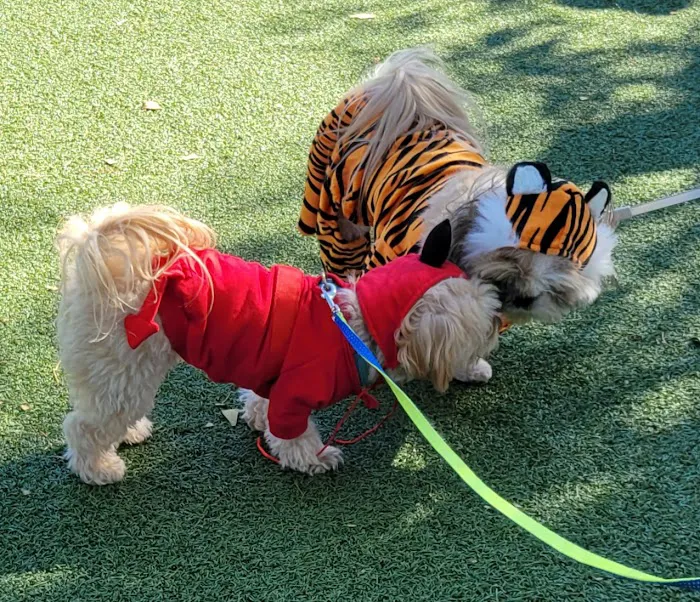 Private - Small Dog Park 3
