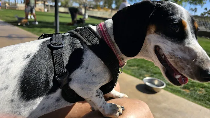 Private - Small Dog Park 1