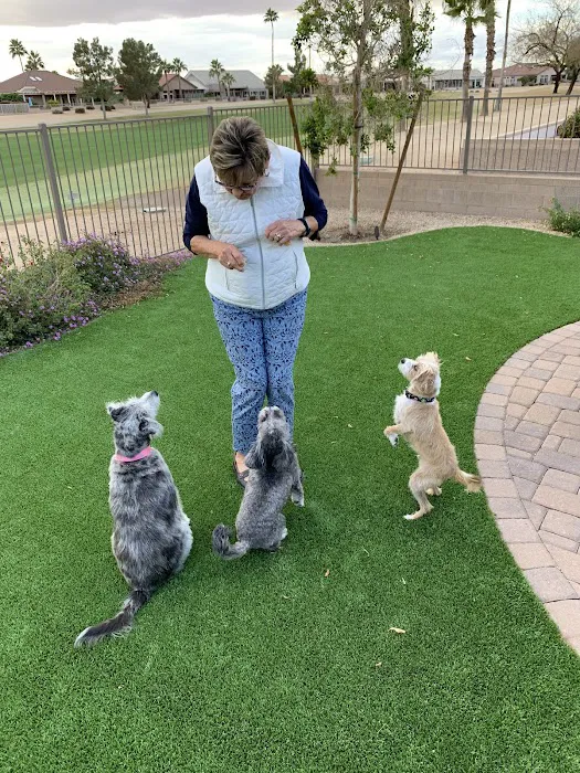 Private - Small Dog Park 10