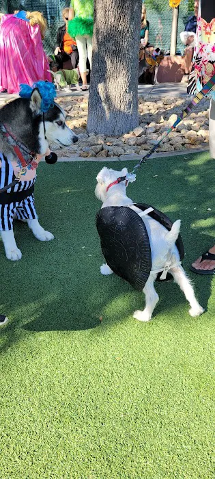 Large Dog Park-Members Only 2