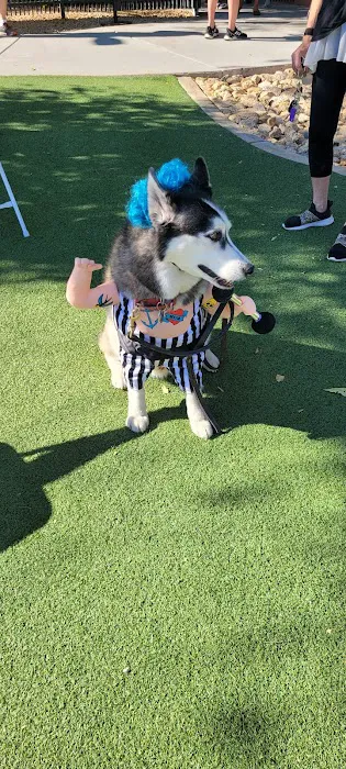 Large Dog Park-Members Only 9