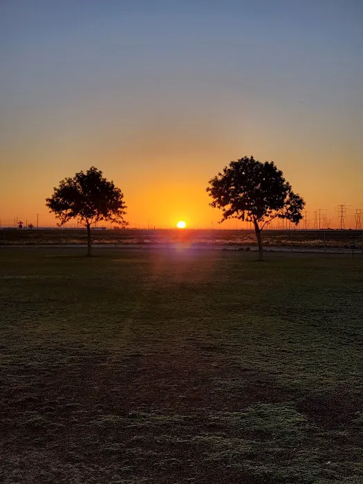 Roscoe, Goodyear, Dog Park 1