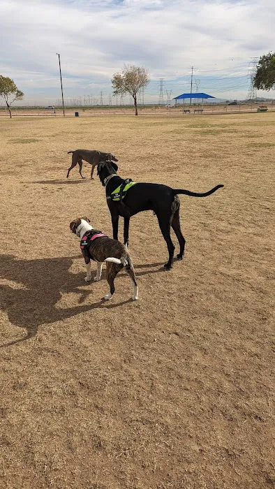 Roscoe, Goodyear, Dog Park 3