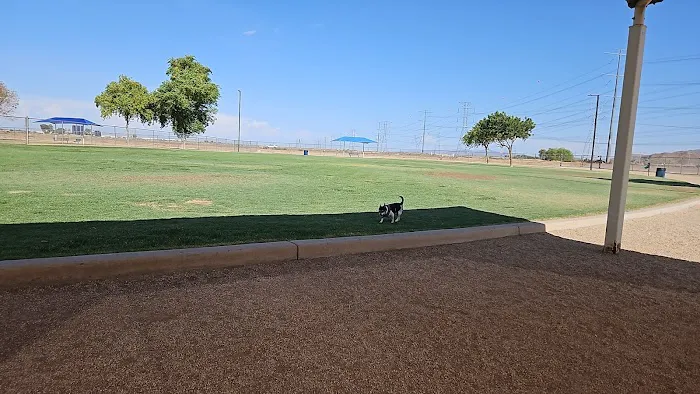 Roscoe, Goodyear, Dog Park 6