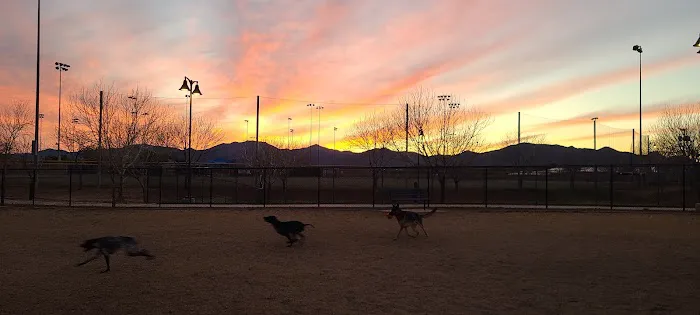 Dog Park 3
