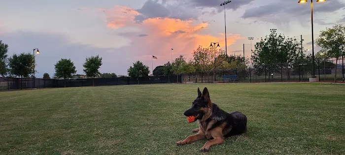 Dog Park 2
