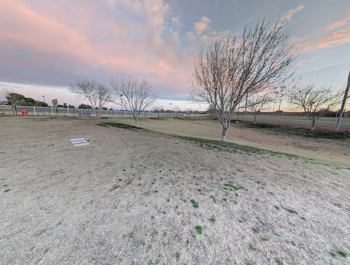 Dog Park 6