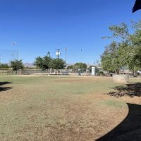 Dog Park ico