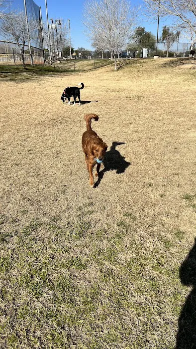 Dog Park 5