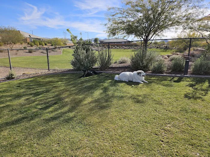 Dog Park 1