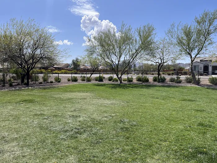 Dog Park 6