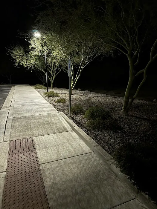 Dog Park 3