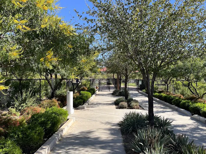 Dog Park 7