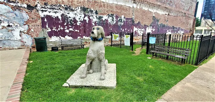 The Barking Lot Dog Park 2