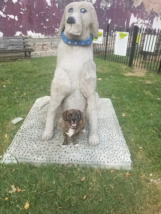 The Barking Lot Dog Park 10