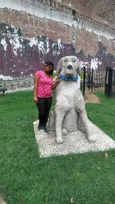 The Barking Lot Dog Park 8