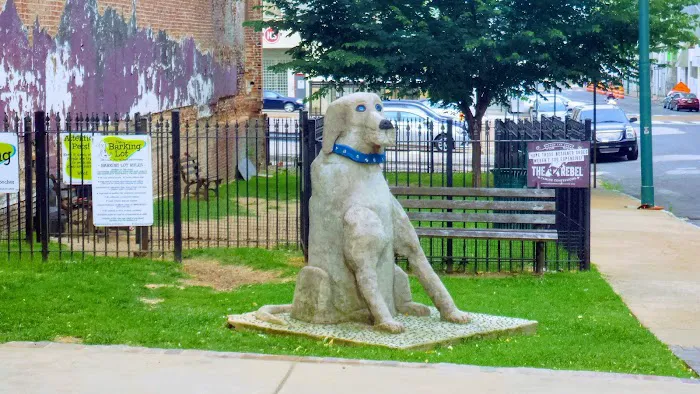 The Barking Lot Dog Park 5