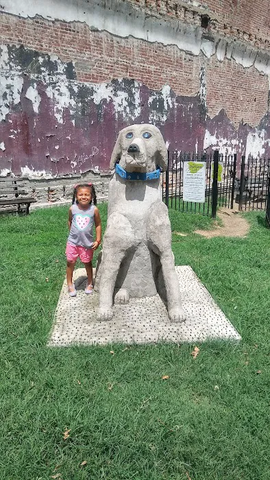 The Barking Lot Dog Park 9