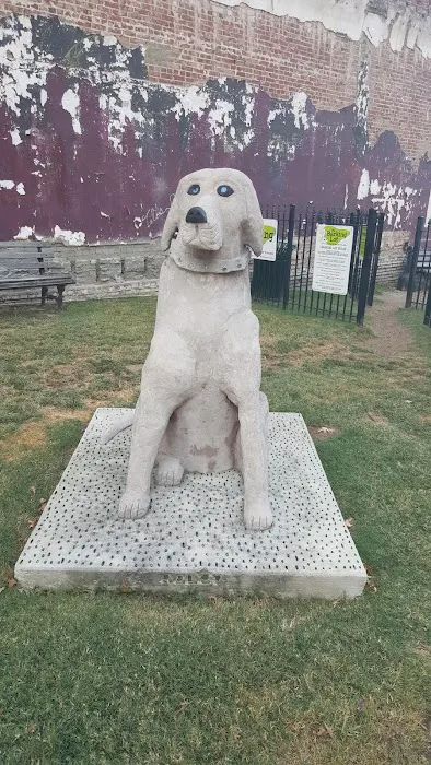 The Barking Lot Dog Park 4