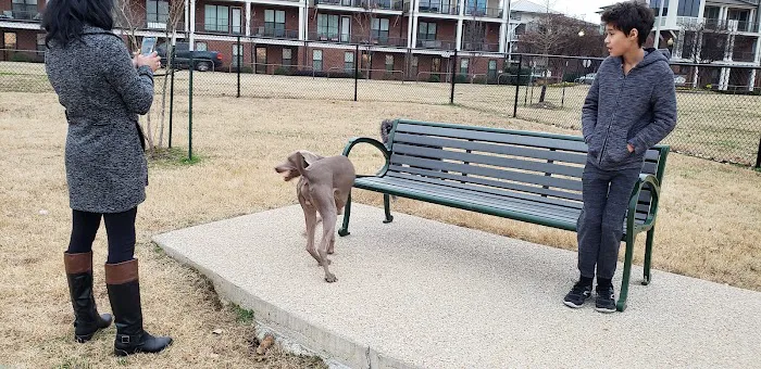 Mud Island Dog Park 5