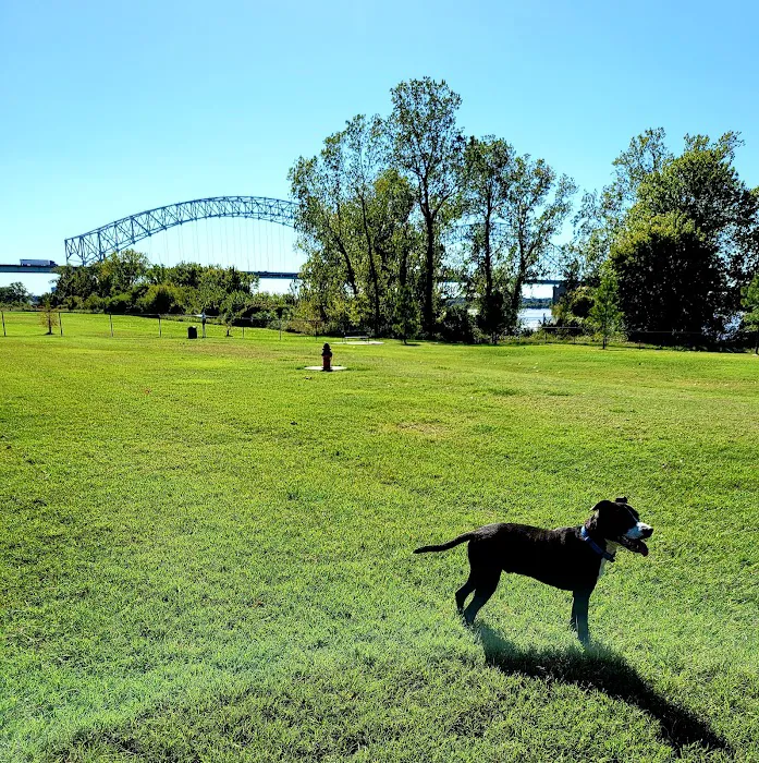 Mud Island Dog Park 10