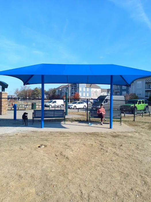 Mud Island Dog Park 3