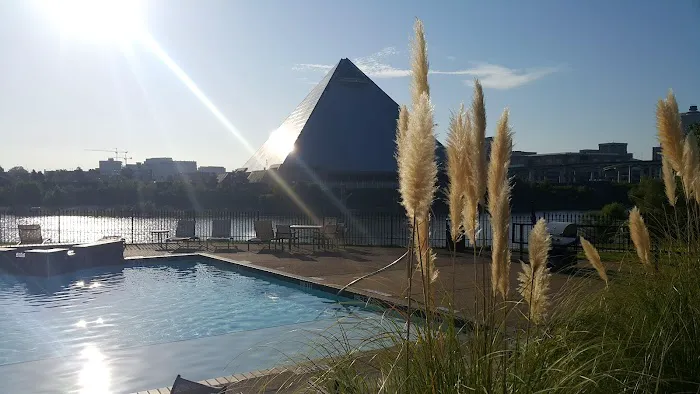 Mud Island Dog Park 4