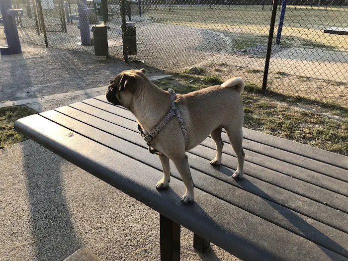 Mud Island Dog Park 1