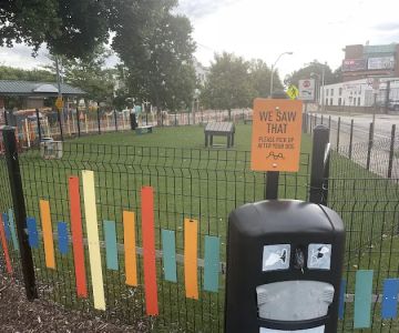 Edge Triangle Hound Dog Dog Park