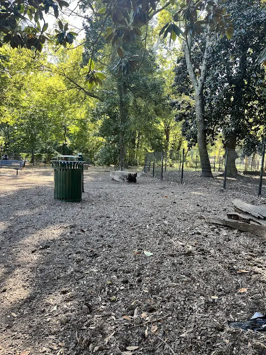 Overton Bark 1
