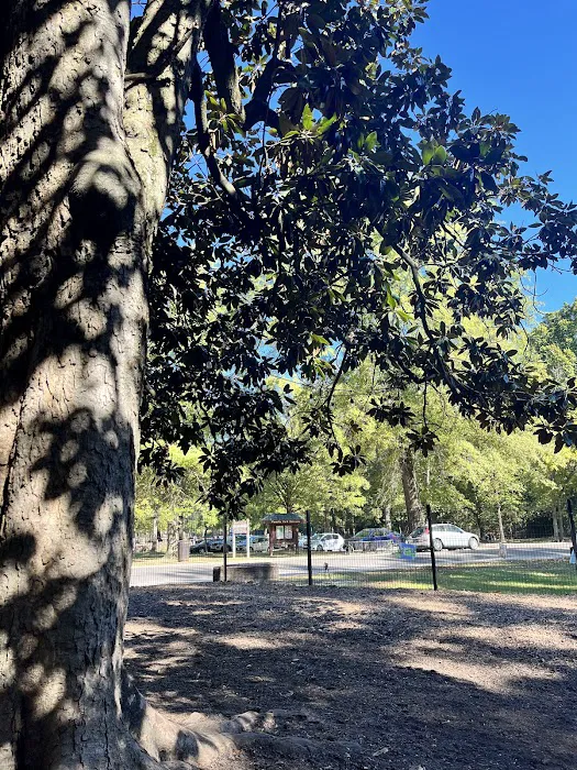 Overton Bark 2