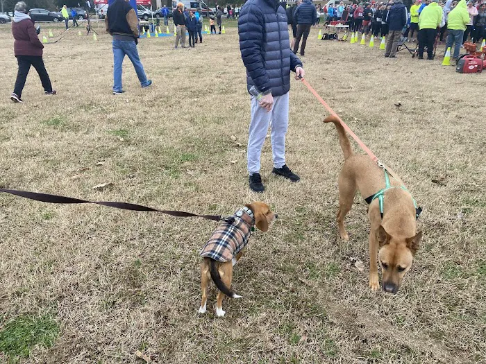 Overton Bark 7
