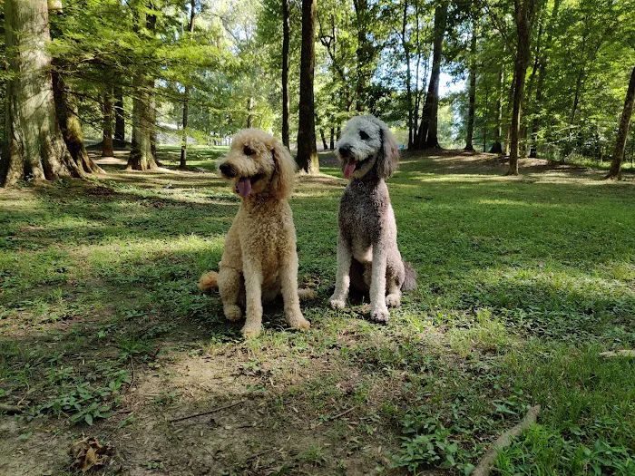 Bartlett Dog Park 7