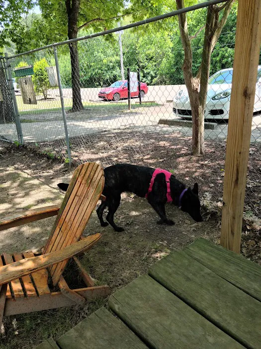 Bartlett Dog Park 9