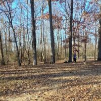 Bartlett Dog Park ico