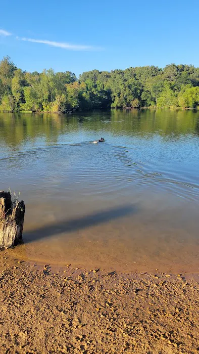 Shelby Farms Dog Park 4