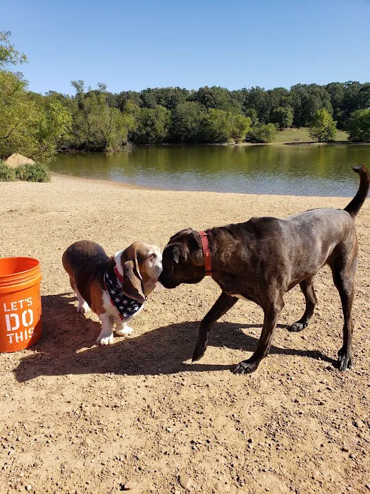 Shelby Farms Dog Park 3