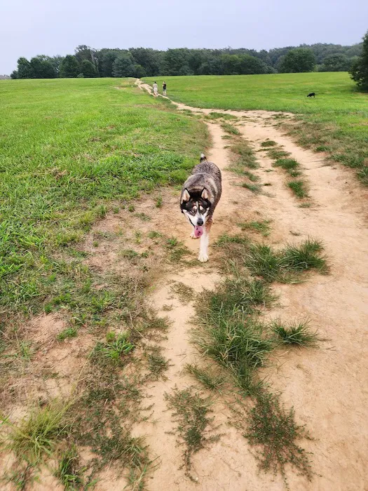Shelby Farms Dog Park 7