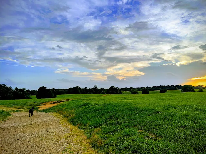 Shelby Farms Dog Park 1