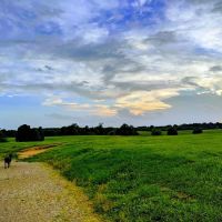 Shelby Farms Dog Park ico