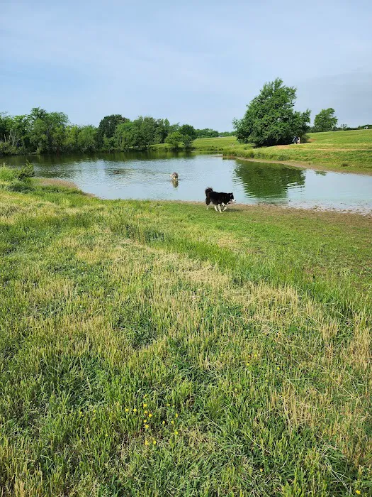 Shelby Farms Dog Park 5