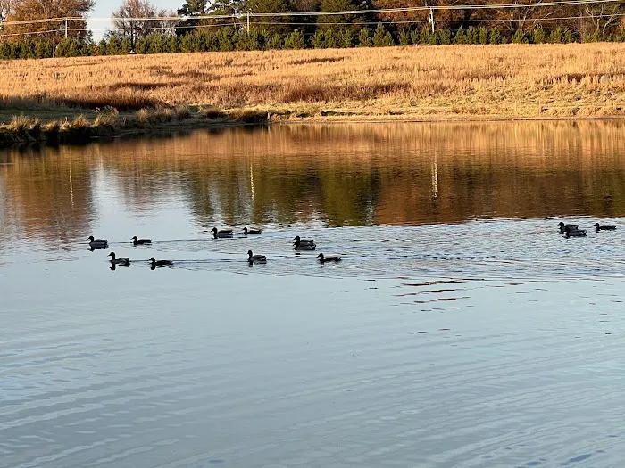 Shelby Farms Dog Park 6