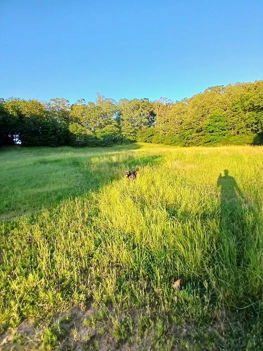 Shelby Farms Dog Park 8