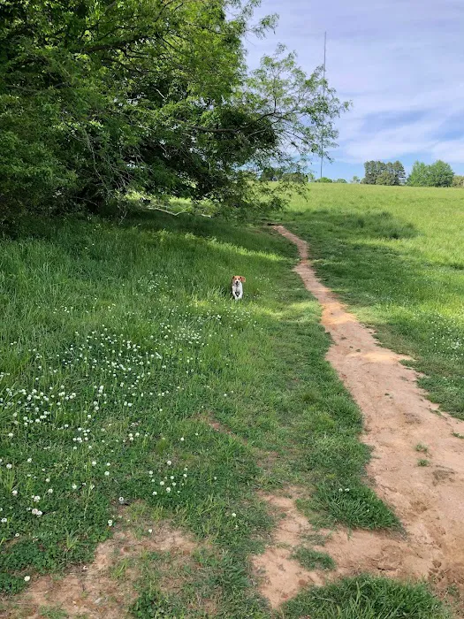 Shelby Farms Dog Park 9