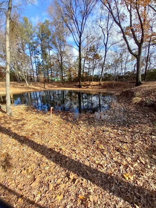 Olive Bark Dog Park 6