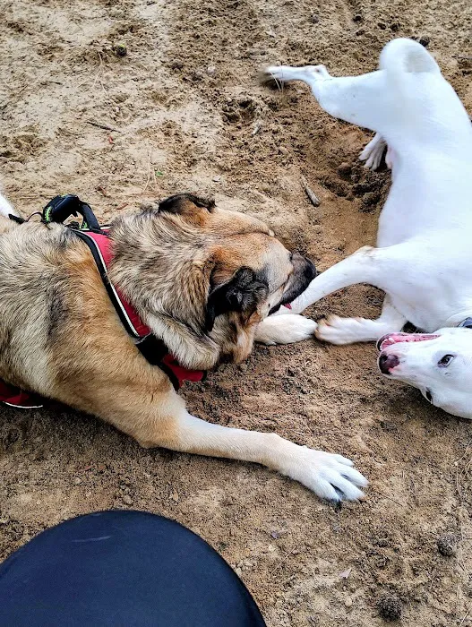 Olive Bark Dog Park 7