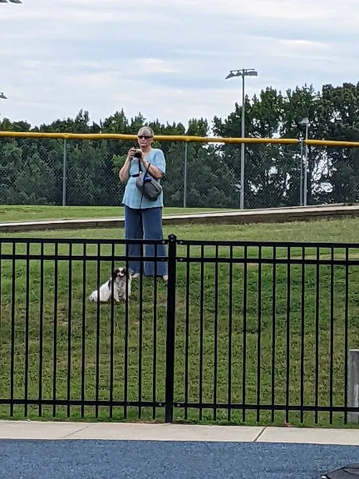 Olive Bark Dog Park 4