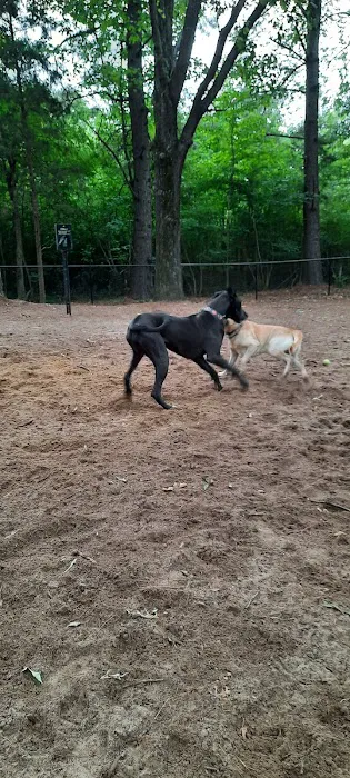 Olive Bark Dog Park 8