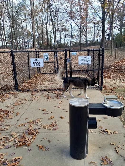 Olive Bark Dog Park 3